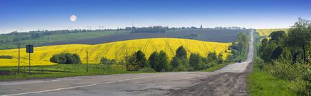 A gentle morning in the rapeseed fields, Ukraine. Symbolic colors are yellow-blue like the flag of the country, golden and heavenly. The old Soviet highway to the mountains of the Carpathiansの写真素材