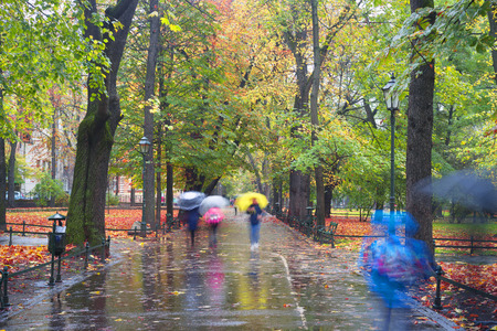 People go to work in a misty morning in an old picturesque colorful park near the Market Square of the famous city of Krakow. Blurred silhouettes among old trees amidst rest and cold
の写真素材