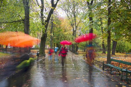 People go to work in a misty morning in an old picturesque colorful park near the Market Square of the famous city of Krakow. Blurred silhouettes among old trees amidst rest and coldの写真素材