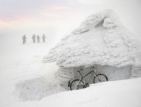 On New Year's Eve, bold climbers took a Mountain Carbon Professional bicycle to Goverla Mountain. A...