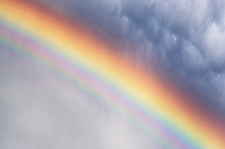 after a rain with a thunderstorm the sun quickly leaves  its bright beams pass through a rain decomposing in millions rain drops - prisms on pure colors of a solar spectrum in a rainbowの写真素材