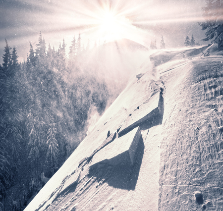 In winter and spring in the mountains, tourists, climbers, hunters and foresters encounter a...