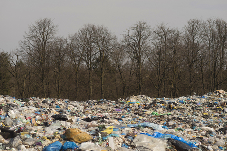 Modern civilization leaves behind huge mountains and heaps of garbage, which covers the ecology of...