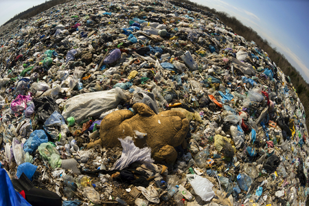 Modern civilization leaves behind huge mountains and heaps of garbage, which covers the ecology of...