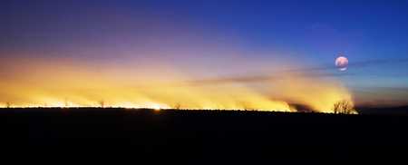 The fire in the field is orange and red hot and dangerous, its flame with heat and poisonous smoke...