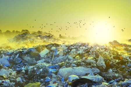 beautiful foggy dawn of the Sun over a huge field of urban garbage, saturated with poisonous fumes...