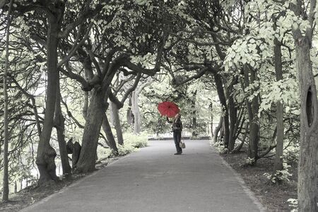 Gdansk in Poland, the famous Oliwa Park with a unique linden alley, where tourists walk in the direction of the flower gardens and beautiful architectureの写真素材