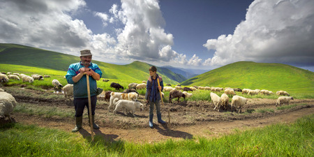 Ukraine, Yasinya, June 20, 2019: All summer mountain shepherds graze a huge flock of sheep in the Carpathians on Mount Svydovets on alpine pastures with the help of dogsのeditorial素材
