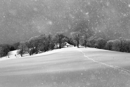 Traces of tourists snowshoeing along the tops of alpine mountains. Without them, people would fall waist deep in deep snow.の写真素材