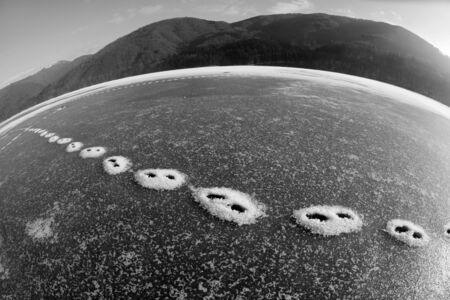 Mountain wild alpine lake surrounded by forest peaks shackled by severe frost, covered with snow with beautiful traces of birds and animalsの写真素材