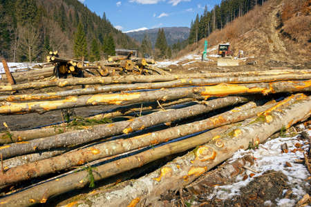 Spring has come in the mountains after winter and heavy tracked tractors are pulling large tree...