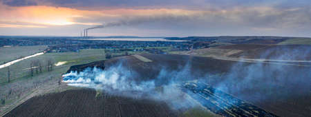 setting fire to the grass in spring. Poisonous dangerous smoke, death of animals, plants, birds and...