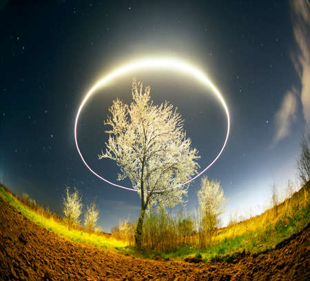 Night aerial photo with a drone - it flies in a circle around a blooming spring tree against the background of stars and clouds. Freezelight artの写真素材