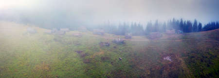 In the mountains of the Carpathians, Ukraine, in a foggy valley of fog, filmed by a drone copter, Tatul valley with houses of shepherds, on Mount Svidovets. Sheep and cows pastureの写真素材