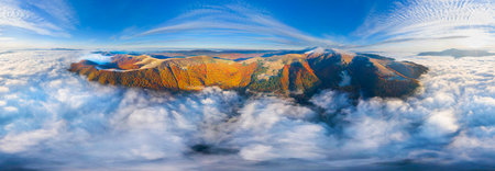 autumn beech and coniferous forest Carpathians Ukraine in October, gentle fogs and frost, beautiful...