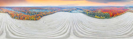 Autumn beech and coniferous forest, farm fields with decorative relief Ukraine in October, beautiful red and yellow orange colors. Aerial view drone copterの写真素材