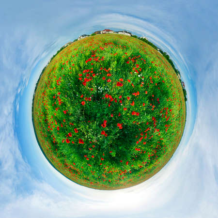 Spherical panorama 360. Eastern Europe, Ukraine, colorful bright poppy wild fields near the Carpathians at sunset before the storm, drone panorama shot from the airの写真素材