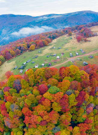 Houses of shepherds wooden old in the Carpathians, Ukraine, autumn beech and coniferous forest, beautiful ecological landscape. Aerial view drone copterの写真素材