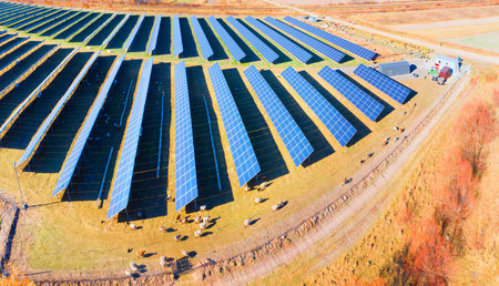 A herd of sheep grazes among solar electric panels - an interesting solution to the rational use of...