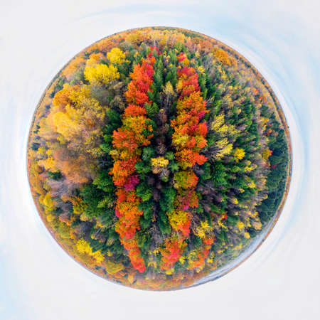 Wild tourist spots. Autumn beech and coniferous forest Carpathians Ukraine in October, beautiful red and yellow orange colors. Aerial view drone copterの写真素材