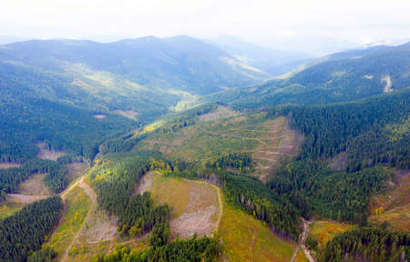 On the slopes of the famous Ukrainian mountain Syvul, in the Carpathians, Ukraine - the Gorgan...