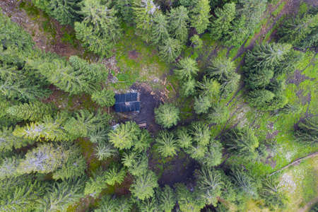 Under Mount Negrova in Ukraine, near Syvul, in the forest, there is a house of shepherds who graze...