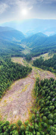 On the slopes of the famous Ukrainian mountain Syvul, in the Carpathians, Ukraine - the Gorgan massif, a new huge felling of forests, spruce and beech. Awful aerial view of a drone of a copter.の写真素材