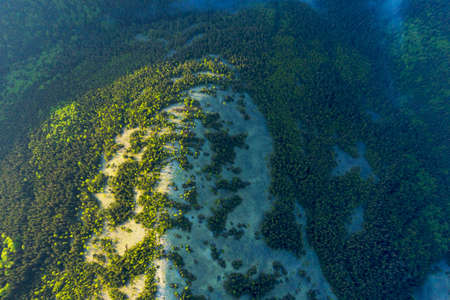 Ukraine, Carpathians, rocky peaks Gorgan - Khomyak and Synyak among wild coniferous and deciduous forests, captured aerially by a drone. After the rain in the valleys, fog and hazeの写真素材