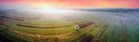 A drone, an early morning bird's eye view of the spring fields of peasants, where cherries and plums are blooming. Decorative pattern of arable land and paths with plants.の写真素材
