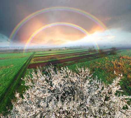 A drone, an early morning bird's eye view of the spring fields of peasants, where cherries and plums are blooming. Decorative pattern of arable land and paths with plants. A rare double rainbow.の写真素材