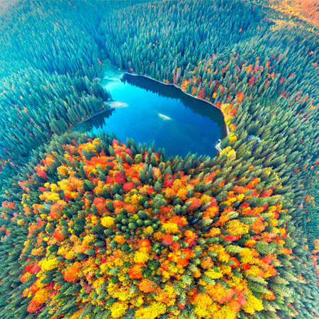 The famous Synevyr lake, a tourist attraction, in the Carpathians, Ukraine, autumn beech and coniferous forest, beautiful mountain landscape. Aerial view drone copterの写真素材