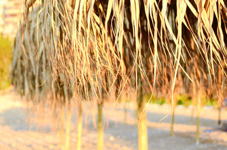 Parasol on the azure coastの写真素材