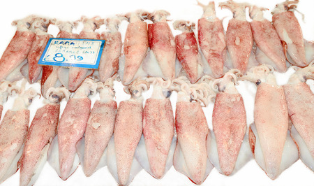Calamari  on fish marketの写真素材