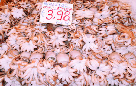 Calamari on fish marketの写真素材
