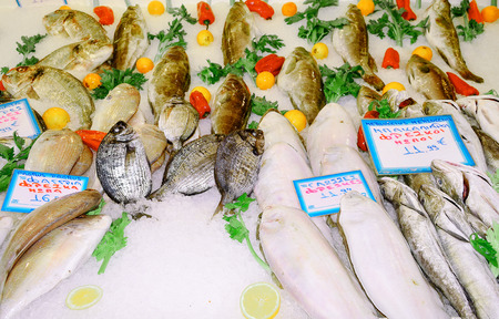 Fish market the Mediterraneanの写真素材