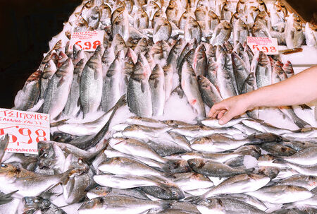 Fish market の写真素材