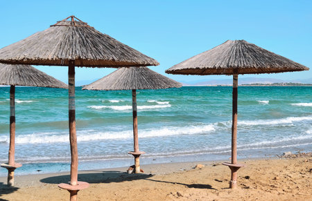 Beach umbrellas の写真素材