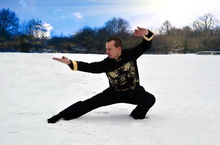 Shaolin Kung Fu Tiger styleの写真素材