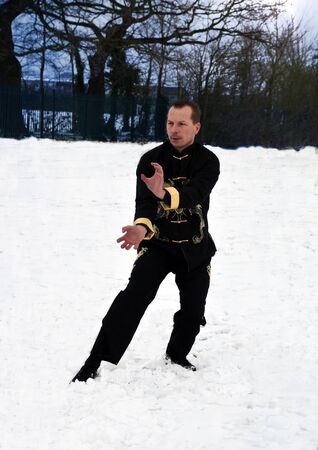 Shaolin Kung Fu Tiger styleの写真素材