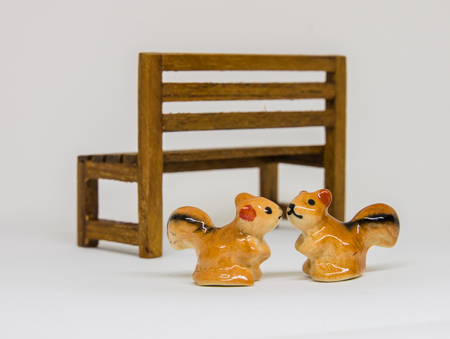 Squirrel facing collide, wooden chair in the back.の写真素材