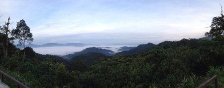 Foggy landscapeの素材