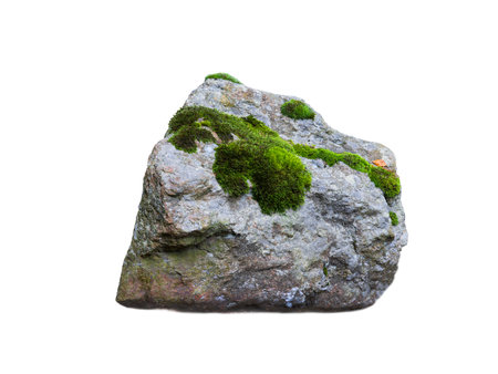 stone covered with moss isolated on white backgroundの写真素材