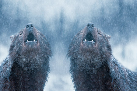 Howling canadian two wolves in winter against the background of snowing.の写真素材