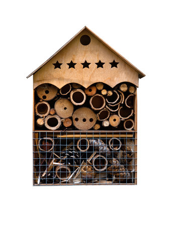 wooden house for insects isolated on a white backgroundの写真素材