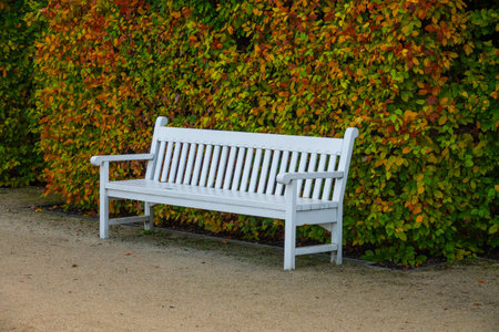 2022-10-28 Royal Castle in Warsaw. View from garden royal, Warsaw, Polandの写真素材