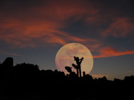 a full moon rises over joshua tree national park at sunsetの写真素材