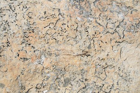 quartzite background surface with interesting texture の写真素材