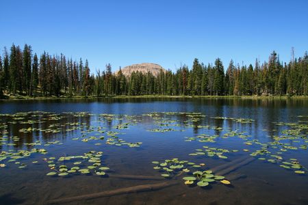 mountain pond with water lily pads and bald mountain