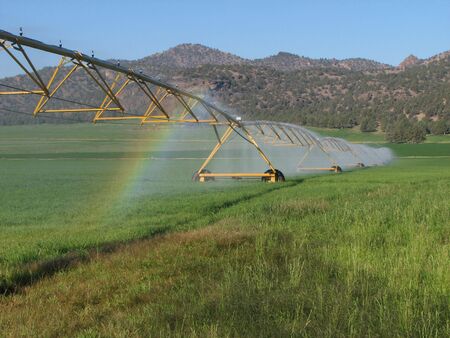 green hay field irrigated by circular spray irrigation systemの写真素材