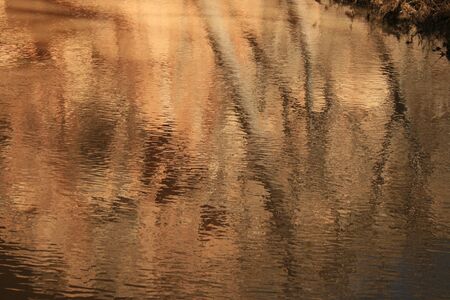 evening reflection of trees and cliffs on rippling stream surfaceの写真素材